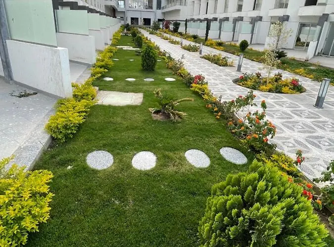 احلامك علي البحر